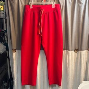 Figs Livingston pants Large petite
